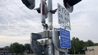 Random Railfan - Wildwood Crossing | Amtrak 351 Wolverine on the Michigan Line