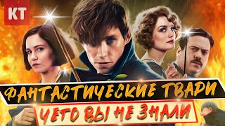 ФАНТАСТИЧЕСКИЕ ТВАРИ - самые ИНТЕРЕСНЫЕ ФАКТЫ. Чего вы не знали ФАНТАСТИЧЕСКИЕ ТВАРИ