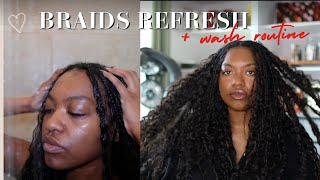 Braids Wash Day & Maintenance + 1 month update