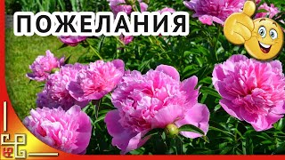 Красивые пожелания c днем рождения женщине! Музыкальная открытка с днем рождения