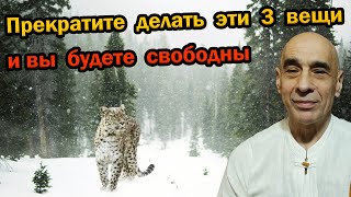 Прекратите делать эти 3 вещи, и вы будете свободны