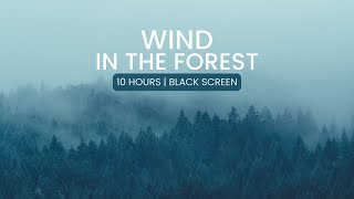 Wind in the Forest, Relaxing Video | 10 hours, Black Screen |for study, sleep & relax