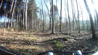 Bramfield Woods MTB XC