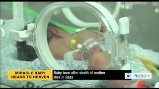 Palestinian baby (Shayma) born after mother’s death dies (Tues 29th July 2014)