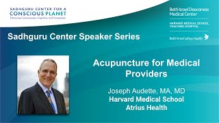 “Acupuncture for Medical Providers” by Dr. Audette