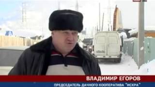 Новости Сургута 18 02 13  Проблема бездомных собак на улицах города