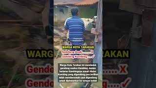 Warga Gendong Kambing Viral!!!