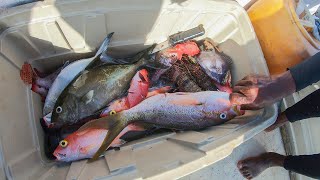 Nice Catch With Line And Speargun | Full Day Out On The Waters