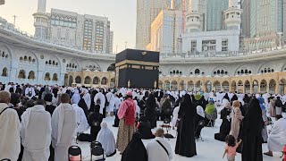 Kaaba Live🔴 | 19 November 2024 | beautiful View Tawaf e Kaaba | Today Morning Time | Makkah official