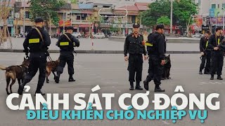 Lực lượng Cảnh sát cơ động sử dụng chó nghiệp vụ bắt tội phạm