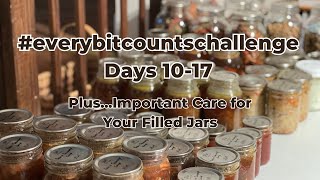 2024 #everybitcountschallenge | Days 10-17