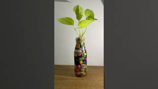 Glass Bottle Plant🍀| Indoor . #plants #garden #hobbies #farming