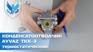 ⛲️🎥 Конденсатоотводчик термостатический муфтовый Ayvaz TKK-3 Ду 15 | АРМАШОП