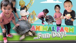 Fun day! One Day Trip to Animal Farm, Feeding Experience with turtle, chicken, donkey &.....