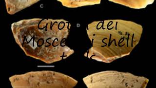 How to pronounce Grotta dei Moscerini shell tools in Italian?