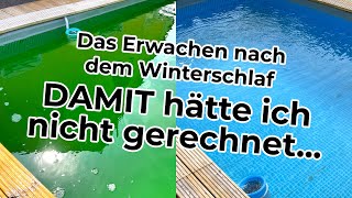 Wie mein Pool den Winter überstanden hat - Erfahrungsbericht mit Tipps