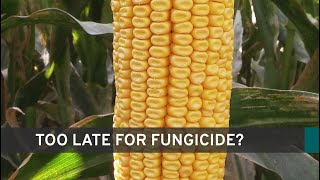 OHBinBusters S4:E2 - How Late Is Too Late for Fungicide?