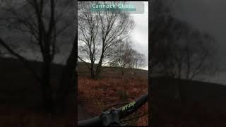 Cannock Chase Off Piste MTB Fun #shorts