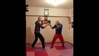 JEET KUNE DO TRAINING BRUCE LEE'S PRACTICES