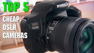 Top 5 Best DSLR Cameras 2019 for Beginners