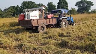 Mahindra 415 di Sonalika 42rx Sikandar Tracter paddy Harvesting🌾🌾🌾 With Kubota