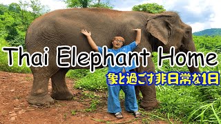 象と過ごした非日常な1日「Thai Elephant Home」ที่จังหวัดเชียงใหม่