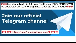 Best forex telegram signals service join for free