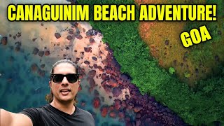 Exploring Canaguinim Beach, Goa: A Natural Paradise | Ryan & Ryson's Childhood Memories 🌴