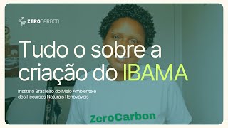 Tudo o sobre a criação do IBAMA