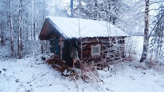 ЖИВУ ОДИН В ЛЕСУ, НА ОЗЕРЕ, НАШЁЛ ЗАБРОШЕННУЮ ИЗБУ.