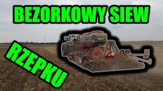 ★BEZ ORKOWY SIEW RZEPAKU 2019★ HORSCH NA TESTY★ FENDT 926 VARIO & FOCUS 4DT★