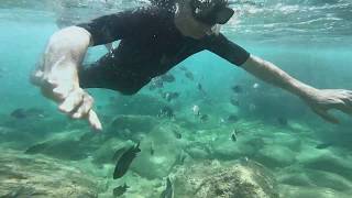 Family Snorkel Tour in Cabo