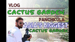 CACTUS GARDEN PANCHKULA | Chandigarh | Asia's biggest Cactus Garden | #clickerwhovlogs