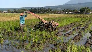 TRAKTOR BOXER Pindah Lahan Melanjutkan Singkal Awal 1908