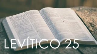 BÍBLIA SAGRADA EM ÁUDIO | LEVÍTICO CAPÍTULO 25 #biblia #fé #shortvideo #viral #shortyoutube #edit