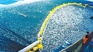 Sailors Dumped 1.5 Million Fish Into The River. 25 Years Later, The Unbelievable Happened!