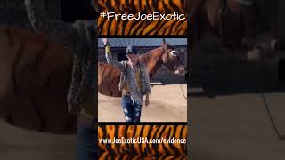 Free Joe Exotic the Tiger King!  #freejoeexotic #joeexotic #tigerking