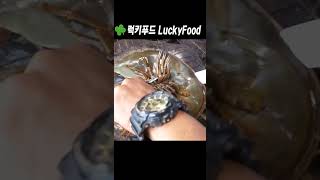 OMG! They just Killed and Turned Those Horseshoe Crabs Into Barbecue. #shorts #tiktok #animal #crab