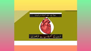 مولا علی علیہ السلام نے فرمایا انسان کے جسم کا