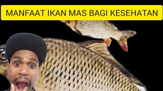 MANFAAT IKAN MAS BAGI KESEHATAN