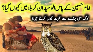 Hazrat Imam Hussain And Owl Story | Imam Hussain AS Aur Ullu Ka waqia | imairavoice