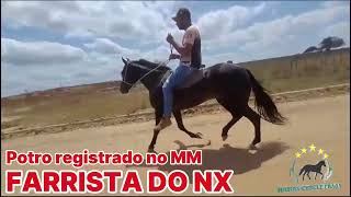 FARRISTA DO NX #mangalargamachador/#mangalargadobrasil/#mangalargadeelite/#viral_video