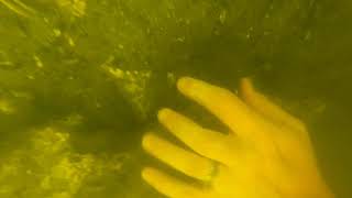 lake Whitney scuba dive 1