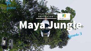 Tren Maya 360° VR journey deep into the Mayan Jungle in Mexico