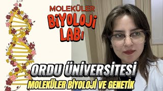 Ordu üniversitesi moleküler biyoloji lab tanıtımıI moleküler biyoloji genetik okumak #biology #yks #