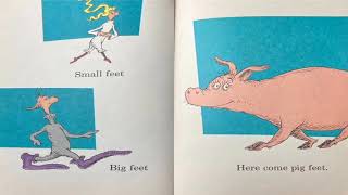 The Foot Book