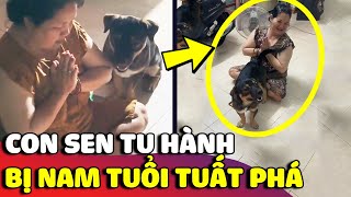 Con sen tịnh tâm với con đường TU TẬP nhưng lại bị NAM TUỔI TUẤT theo phá và cái kết 😅 | Gâu Đần