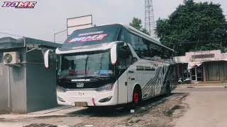 Story wa bus Sudiro Tungga Jaya DOME ||Story'wa bus keren 30 detik||