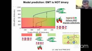 Dr. Mohit Kumar Jolly: A dynamical systems approach to unravel epithelial-mesenchymal plasticity