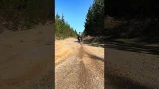 Zero Adventure Bike Takeoff #electricbike #adventurebike